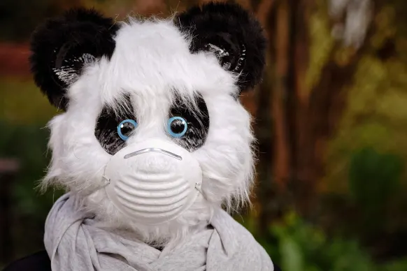 Rollers Casino Podrška